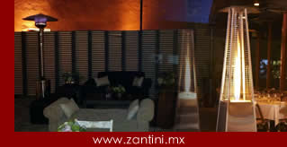 Calentadores de Jardin